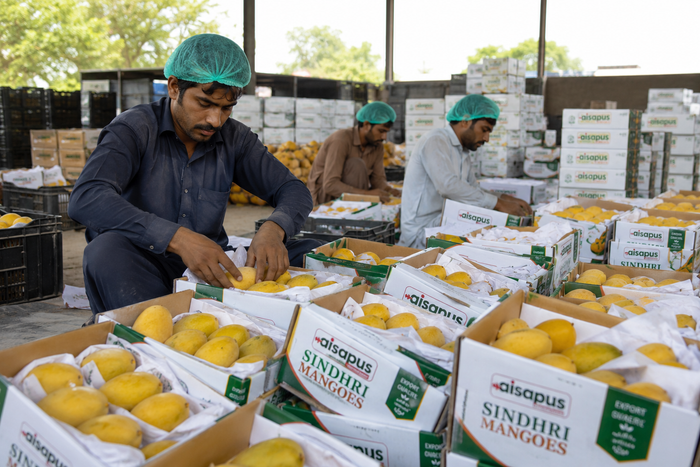 Fresh fruit packing