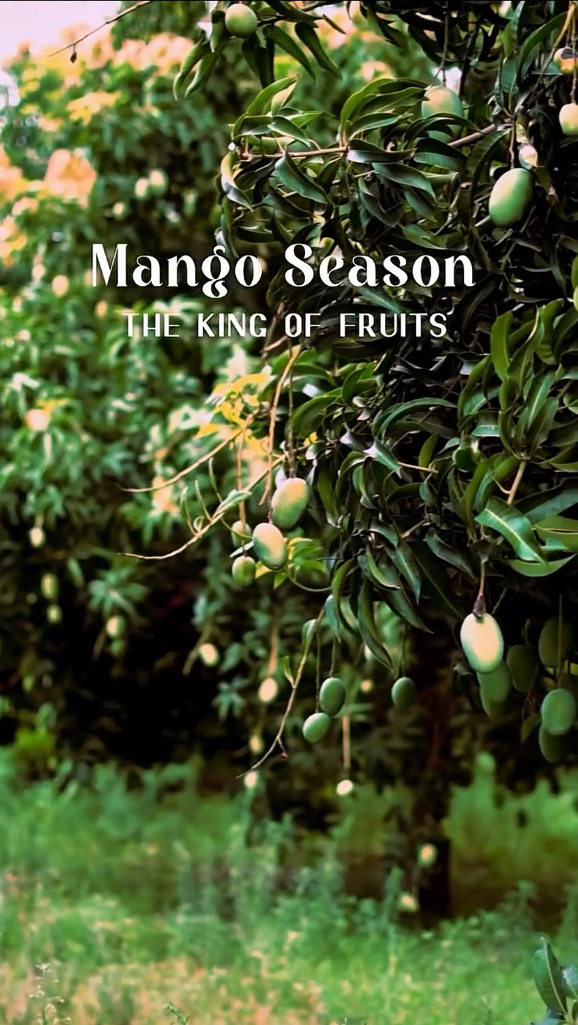 Fresh n Fresh Orchard Video
